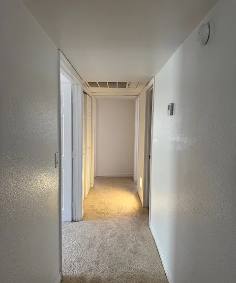 5300 Indian River Dr #258 — Photo 4