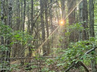 L11 Rebel Rdg, Jefferson, NY 12093