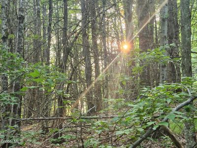 L11 Rebel Rdg, Jefferson, NY, 12093