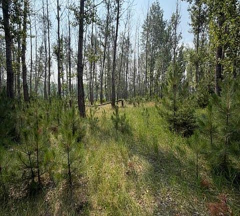 5th image of County Road 26