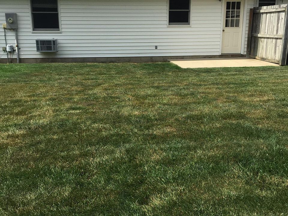 Back Patio