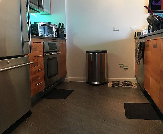 4th image of 3301 NE 1st Ave APT 1109