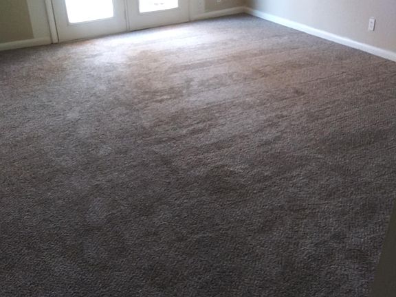 2nd image of 1201 E Pierce Ave #101