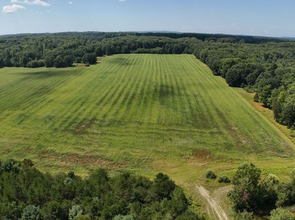 Leckrone Rd PARCEL B, Brethren, MI 49619