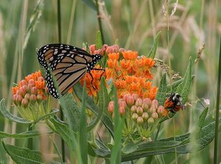 1148 101st Ln NE, Blaine, MN 55434