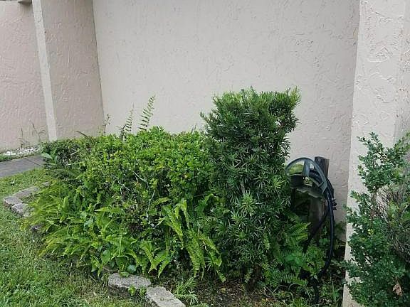 4th image of 8442 Pineverde Ln