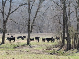 19560 Ranch Rd, Willow Springs, MO 65793