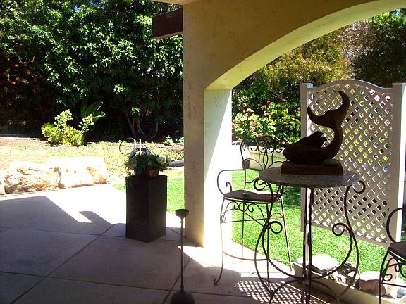 Patio and yard