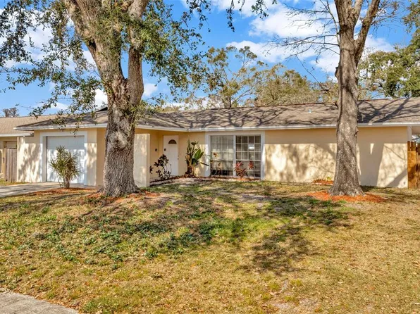 5205 Landsman Ave, Tampa, FL 33625