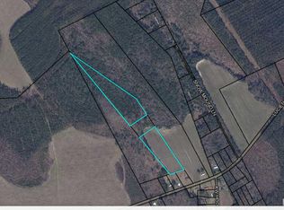 2050 Lucien Brailsford Rd, Manning, SC 29102