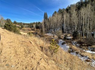 1966 Shelton Dr, Bailey, CO 80421