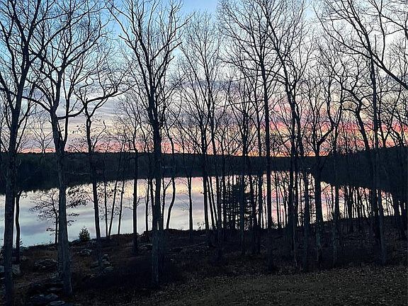 4th image of 0 York Lake Estates Rd