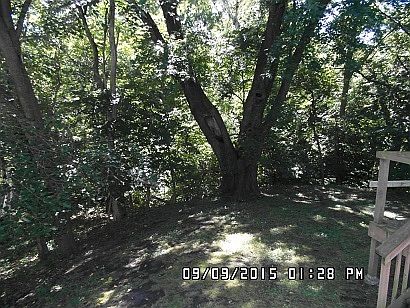 4th image of 4518 15th Ave