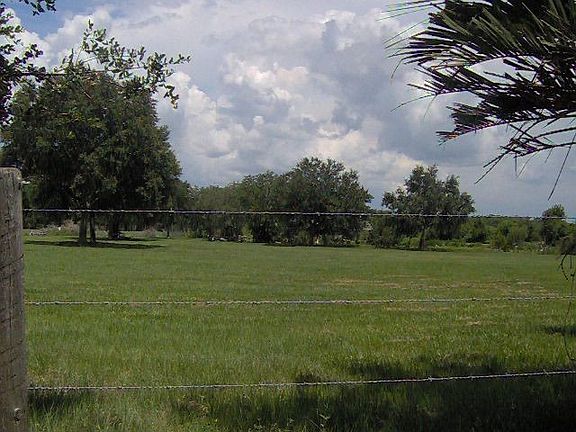View from Pool / backyard