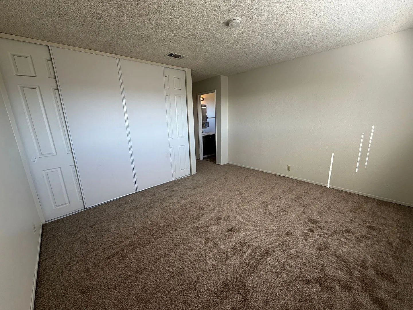 Newly updated home — Photo 3