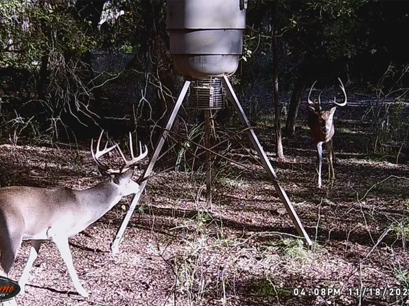 3061 Canyon Ranch Rd, Palo Pinto, TX 76484