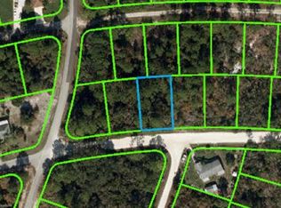 256 Deerwalk Ave, Lake Placid, FL 33852