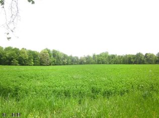 S Ferris Rd, Sidney, MI 48885