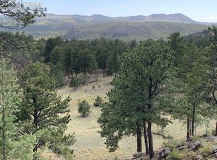 591 Star Gate Hts, Florissant, CO 80816
