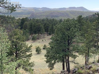 591 Star Gate Hts, Florissant, CO, 80816