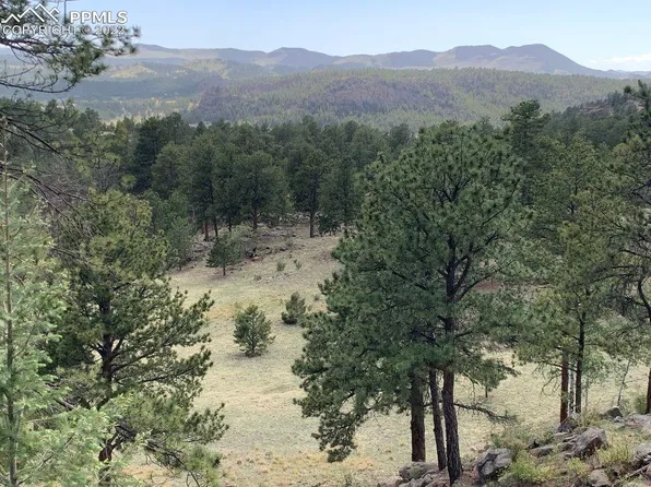 591 Star Gate Hts, Florissant, CO 80816