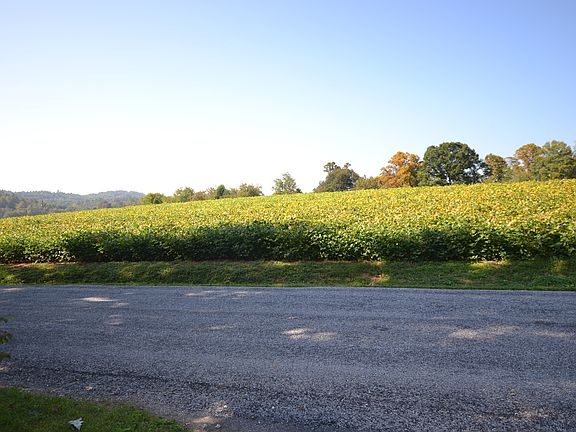 4th image of 3 N Foothills Dr