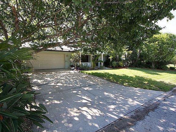 Large Shade Tree Over Driveway