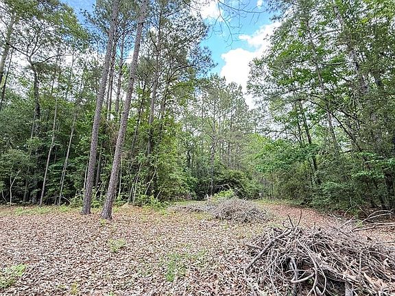 5th image of R034741 Big Pine Ct
