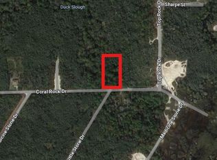 Coral Rock St LOT 4, Webster, FL 33597