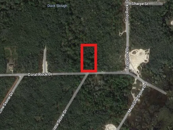 Coral Rock St Lot 4, Webster, FL 33597