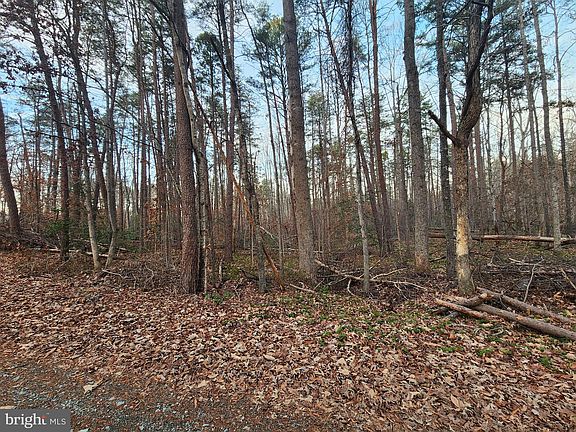 5th image of LOT 10 Paradise Ln