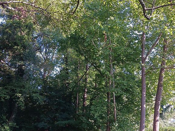 5th image of 309 Rodoret St N