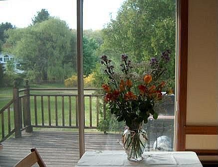 Deck - relaxing view from DR (Forcythia, Weeping Willow, Maple & Spruce trees)