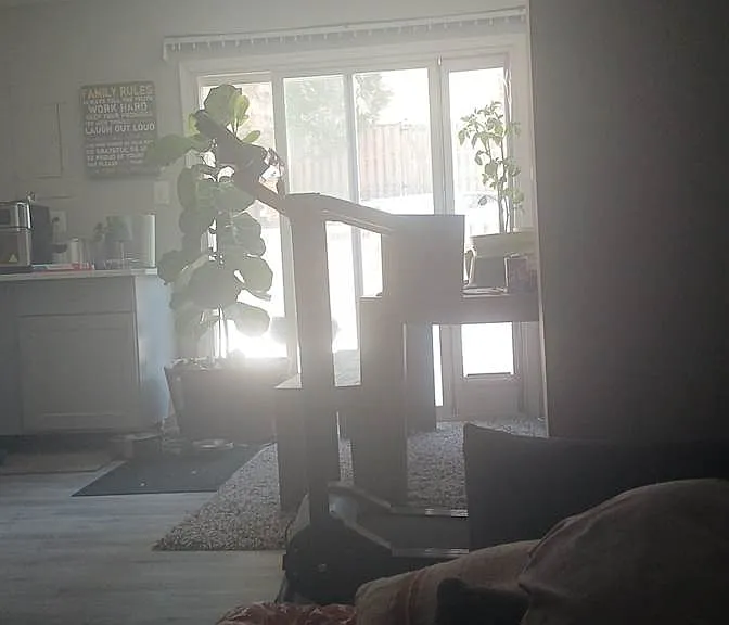 8407 Eucalyptus Ct — Photo 5