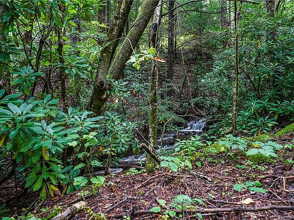 2nd image of Lady Slipper Trail & Point #48-49