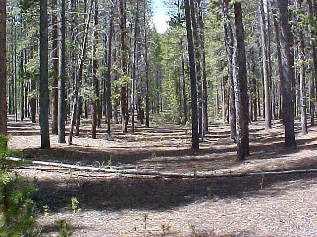 1st image of County Road 492