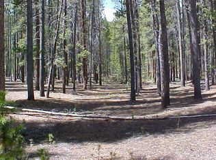 492 County Rd, Grand Lake, CO 80447
