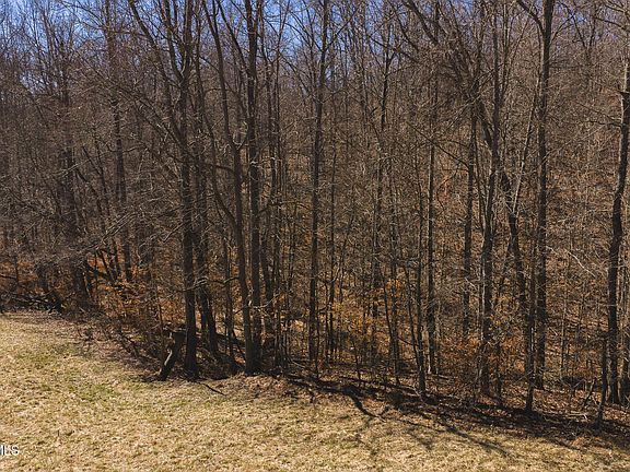 5th image of Sutton Hollow Rd