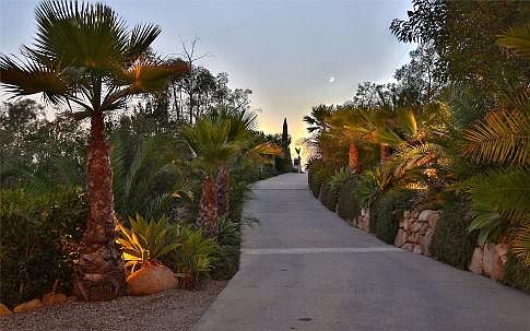 Long and Beautifully Landscaped Driveway