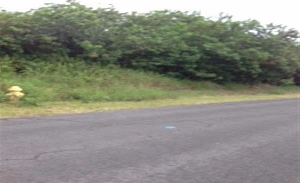 2nd image of Kaulua St Lot 375