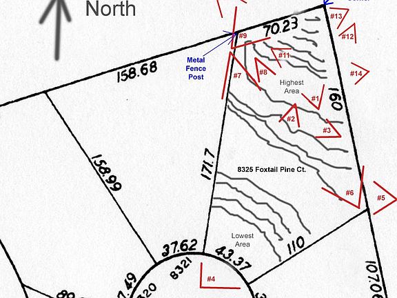 2nd image of 8325 Foxtail Pine Dr