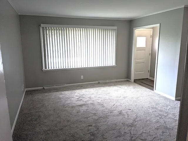 61 Pine Ct — Photo 4