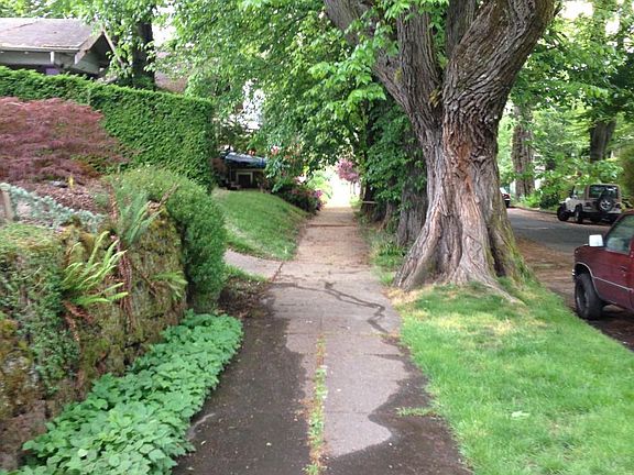 Sidewalk through the trees