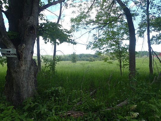 2nd image of McLean Rd