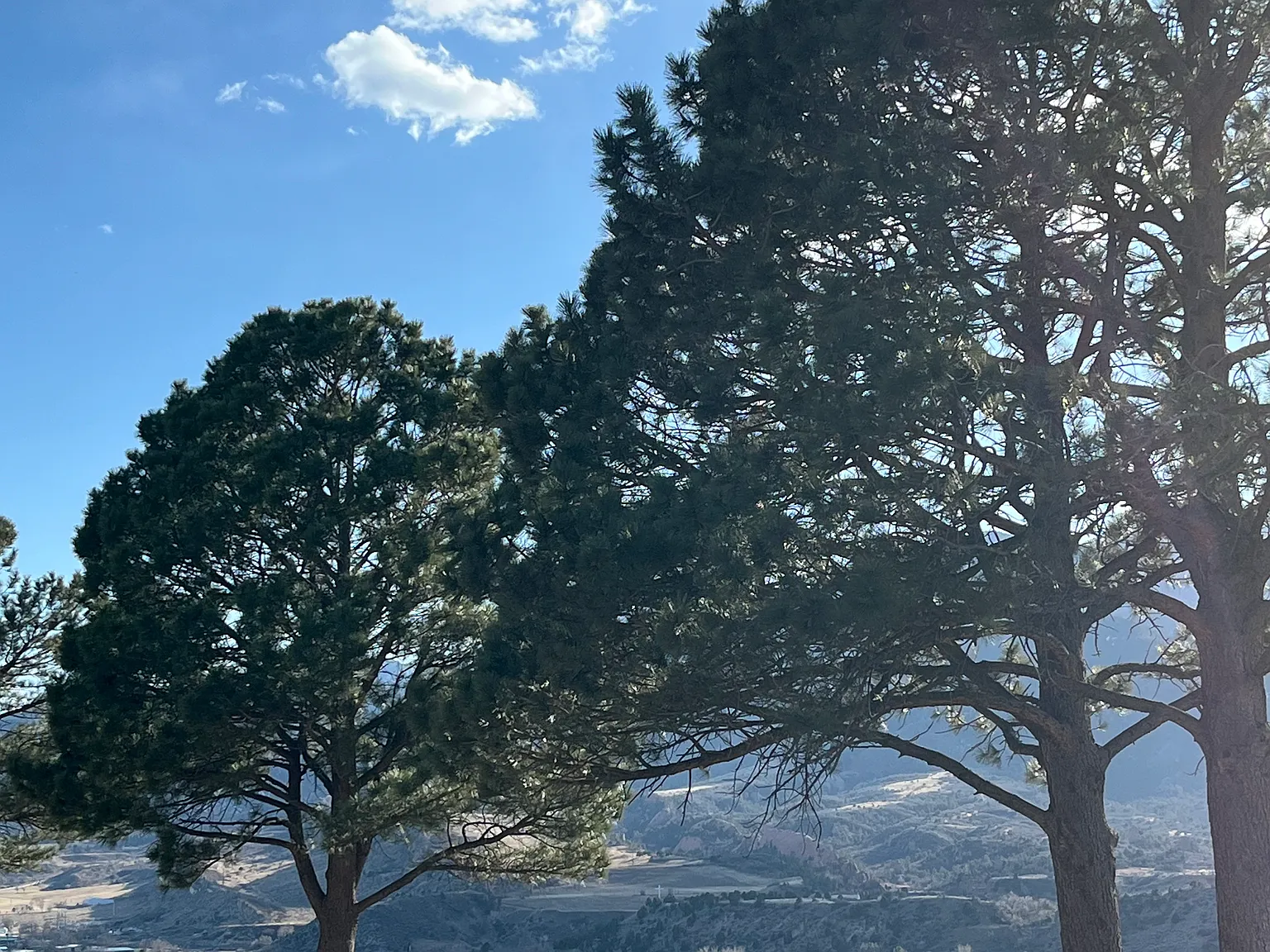 2 bed, 910 sqft, $2,000 — Photo 4