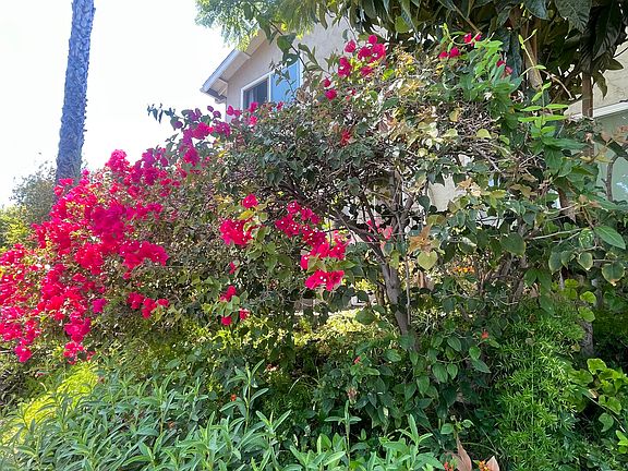 5th image of 7882 Camino Huerta
