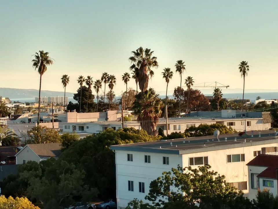 Ocean View from Roof Deck