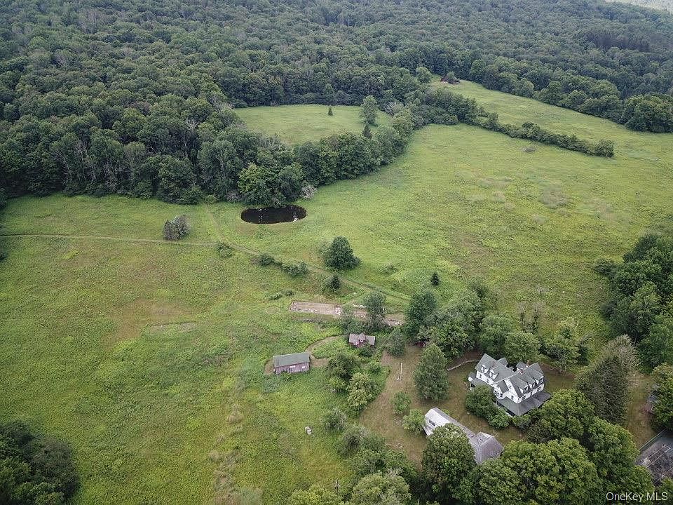109 Mary Smith Hill Rd, Livingston Manor, NY 12758 — photo 4