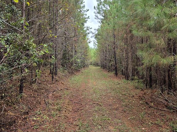 2nd image of 0 Old Pike Rd