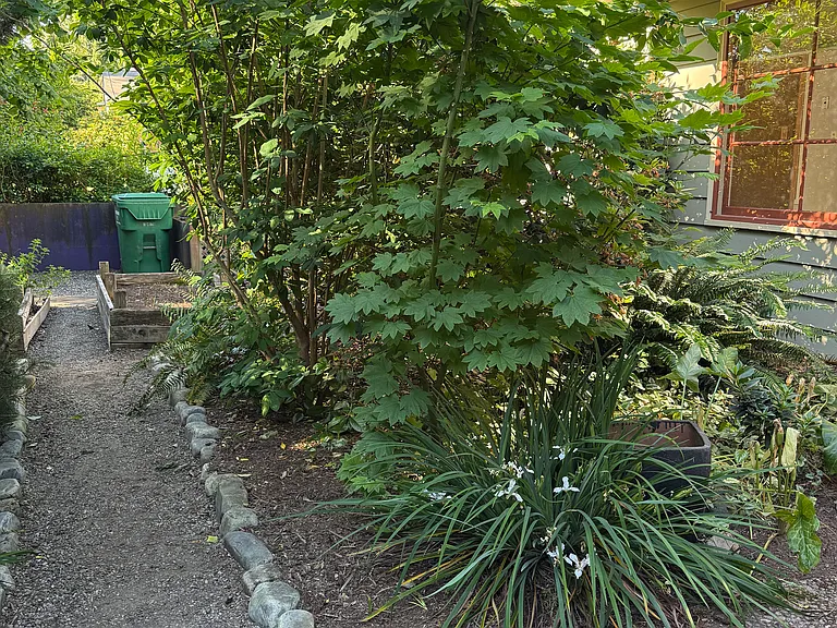 31st Ave NE — Photo 13